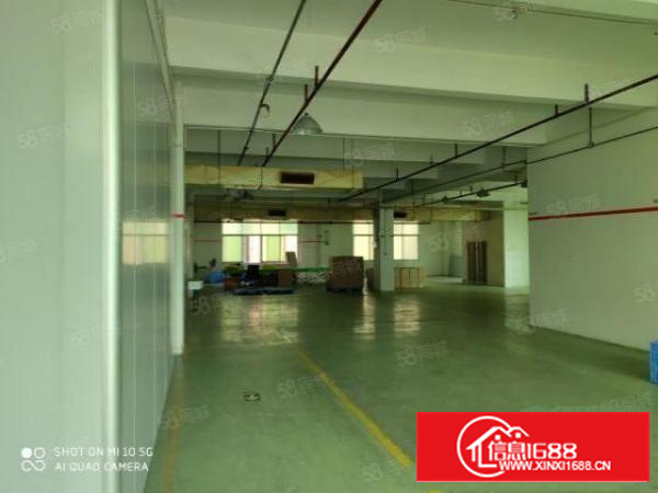 石碣原房东新出四楼非顶楼独门独院双电梯配备齐全交通方便