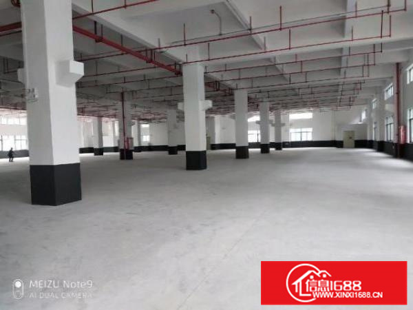 高新区标准厂房，一楼高度7.6米