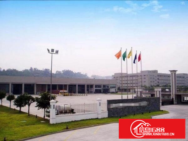 标准独栋钢构厂房出租