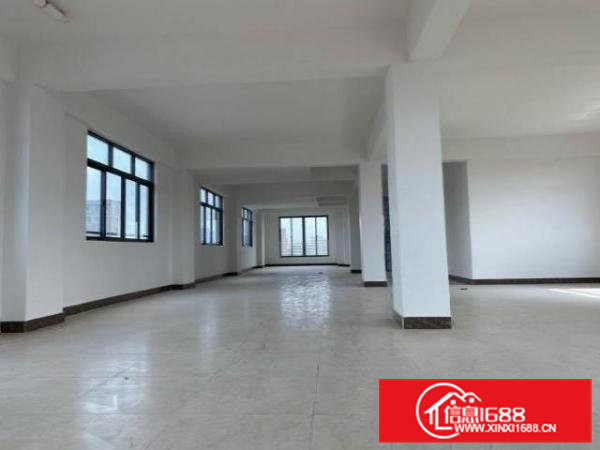 一楼：230平方米。九楼：260平方米