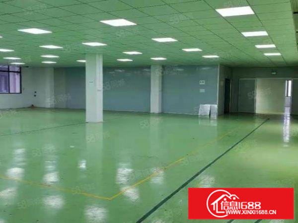 寮步镇凫山村原房东出租3楼1500平方11块钱