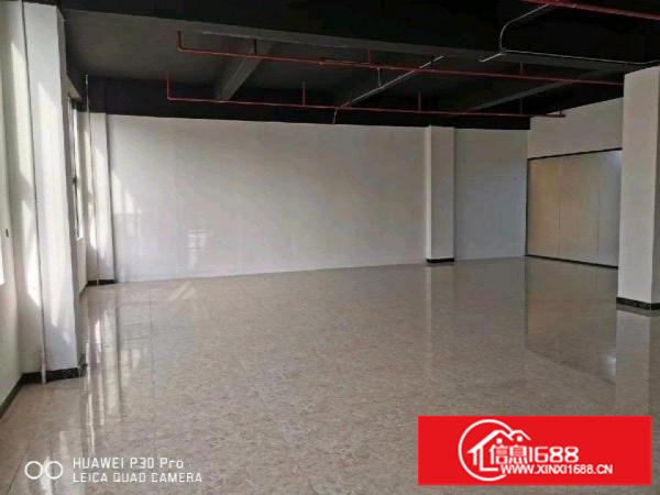 丹竹头红棉路仓库1000平米