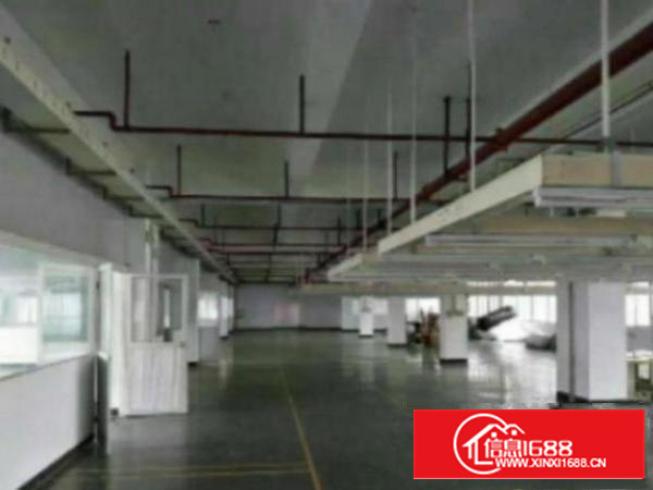 万江环城路附近现有650平方厂房招租出租