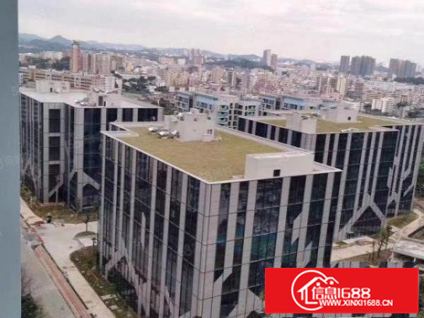 龙华区政府扶持有补贴高端产业园新建全新厂房60000平