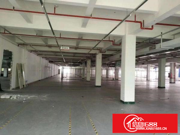 出租龙岗区坪地大型工业区原房东楼上实际面积1000平厂房