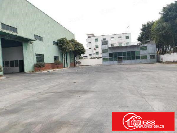 清溪原房东单一层独院钢构厂房6500平12米高