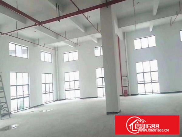 大岭山石大路边厂房22000平米可分租