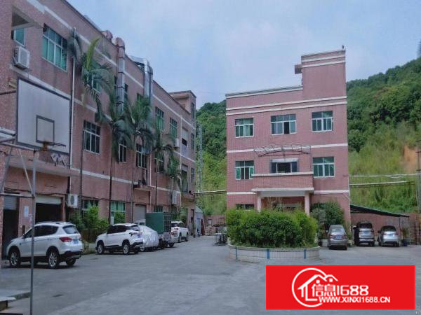 花园式独院厂房分租标准厂房一楼750平米带现成装修好水电办公