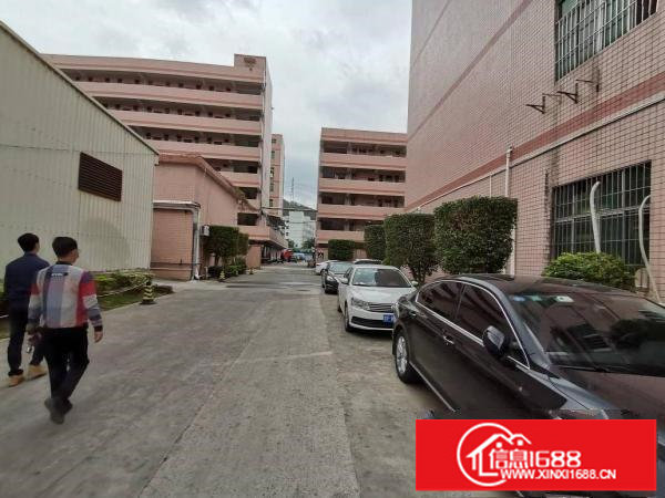 横岗六约珠宝园出租，带精装修180平到1000平，大小分租