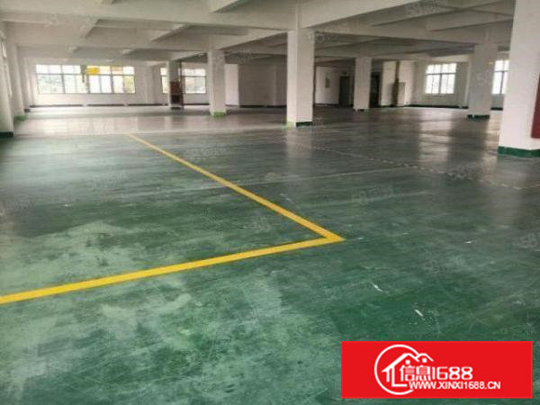 清溪三中独院标准2楼1000平方！双面采光!可办环评