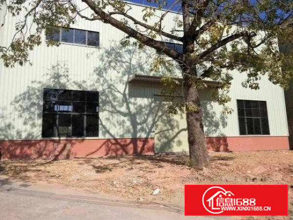 谢岗9米高钢构全新独院厂房1350平方出租