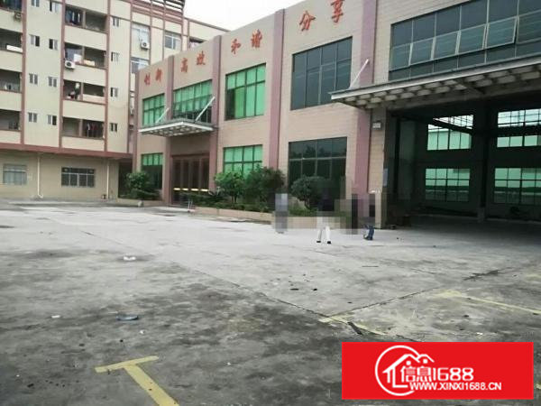 大岭山镇独门独院高12米厂房招租