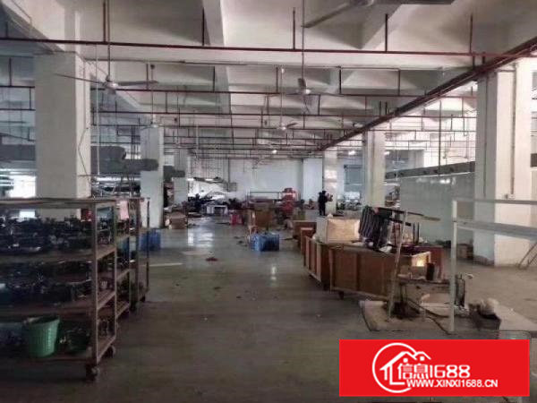 常平高速路口新出工业园分租一二楼各2850平方，带消防喷淋