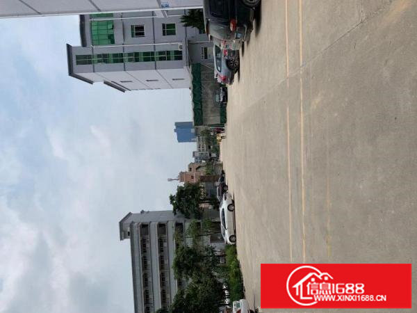 坪山碧岭工业区原房东厂房出租1万1千平空地超大交通便利有红本