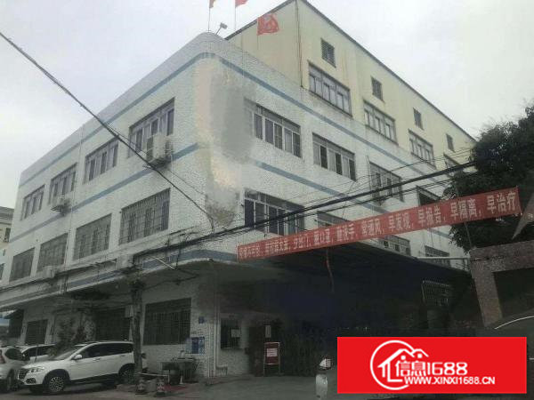 横江村成熟工业区独院厂房出租