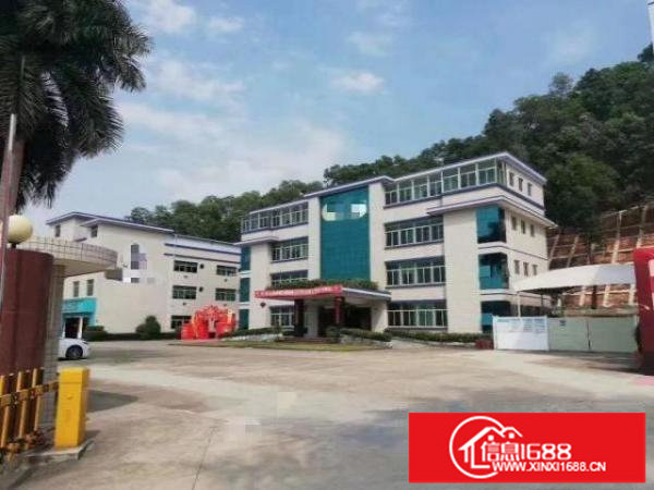 标准实际面积出租，有红本原房东