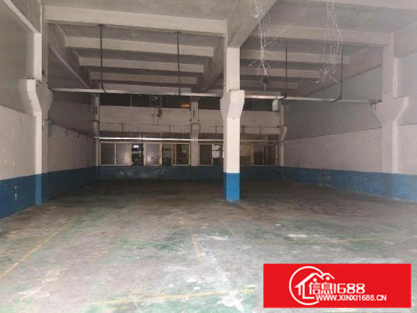 三中村新出一楼260平带装修办公室水电齐全