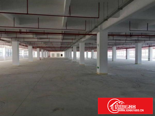 南栅1200平米独院厂房出租空地4500平米