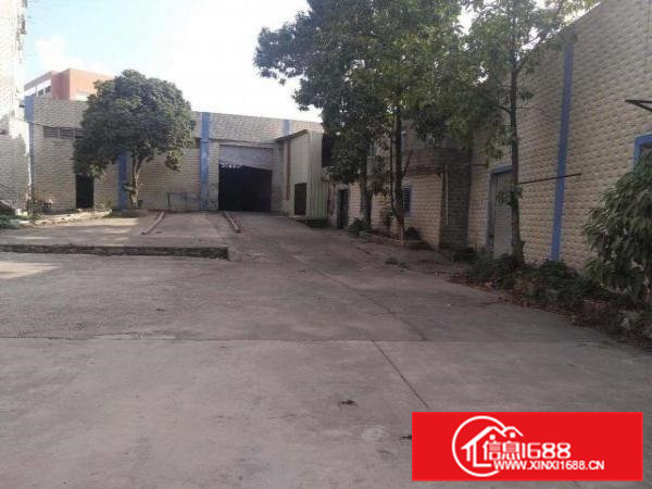 大岭山原房东独院单一层厂房2500平6.5米