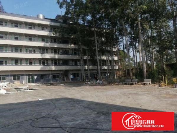 雁田安佳第二科技园新出650平钢结构铁皮房厂房出租空地超大