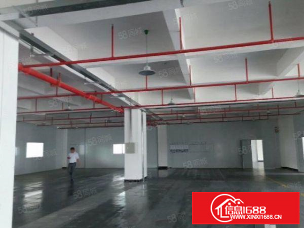 陈村广隆工业区标准楼上厂房低价招租