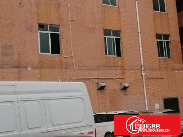 独栋独院村委原房东厂房