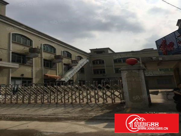 新出一楼豪华装修厂房，价格美丽