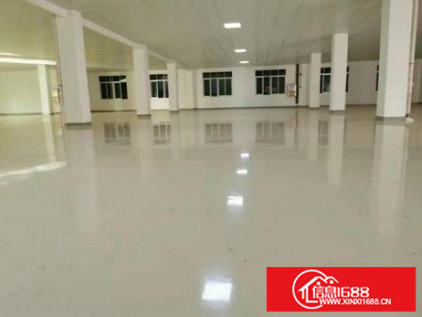 出租近广州化妆品、食品仓库，环评包过，证件齐全3000方招租