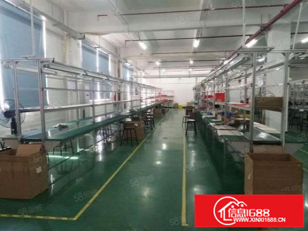 凤岗五联独院厂房4600平方火爆招租（可分租）