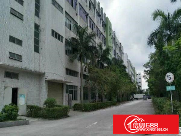 坪山大工业区福兴达新出三楼整层3150平厂房可分租