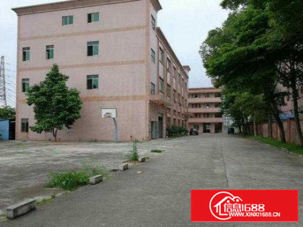 石岩龙眼山1楼厂房500平！有地坪漆，无公摊