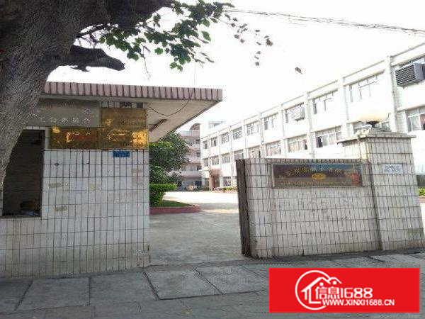 坪山碧岭新沙路新出二楼600平厂房低一价招租