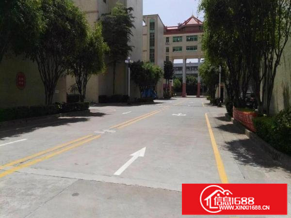 龙岗大道边独院厂房5600平米出租