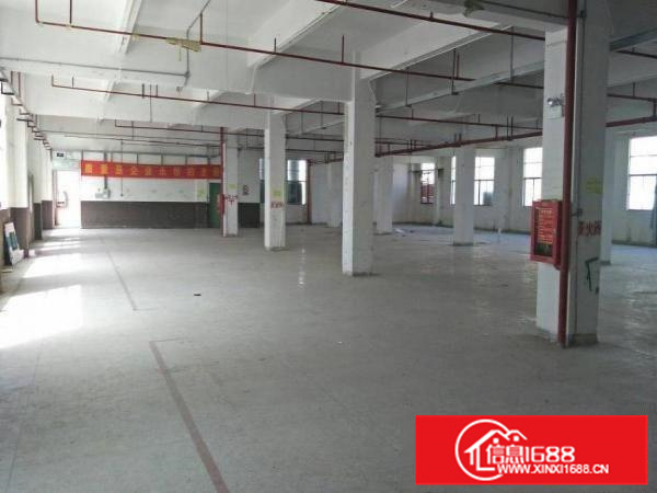 惠阳新圩11000平原房东独院厂房出租空地大可分租