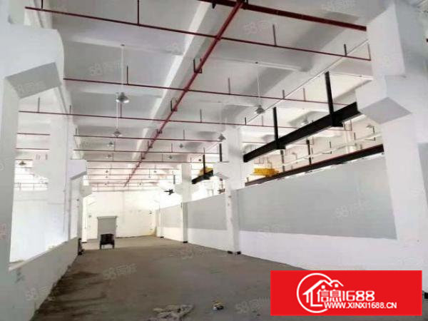 桥头镇原房东独院标准厂房一楼，主线到车间，位于成熟工业区