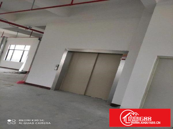 全新标准厂房招租啦！