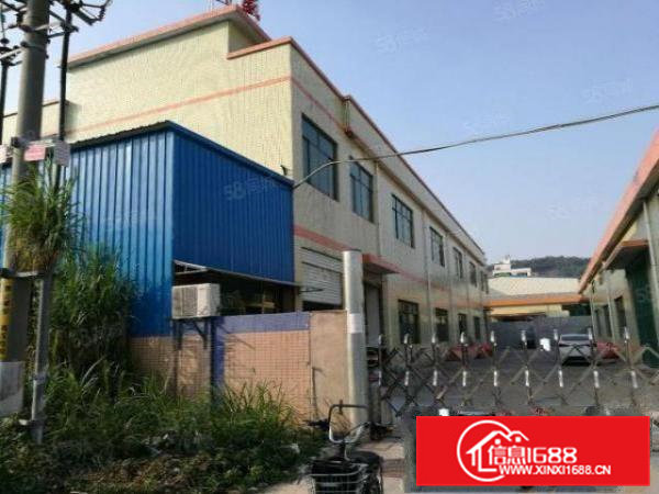 寮步镇泉塘新出厂房一楼1200平方，适合行各业