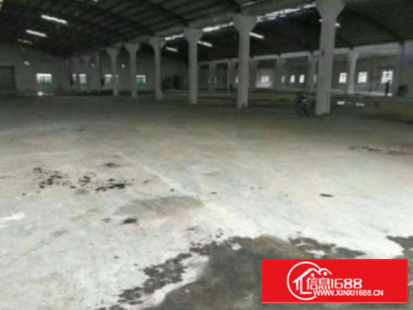 万江独院单一层钢构厂房出租3000平可分租滴水7米配电400