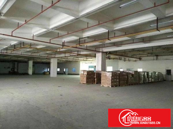 坂田新出带平台一楼1760平米厂房大小可分租