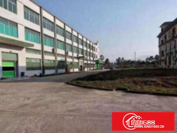 高埗独院标准厂房一楼2500平方带现成装修出租