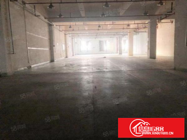 高埗镇冼沙村新出独门独院标准厂房约1000平方，可办环评