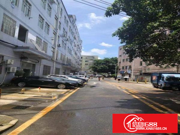 业主直租，可分租可整租，本公司大量物业，欢迎前来咨询