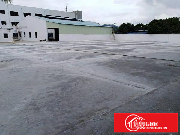 钢构一楼1500平米空地2500平米