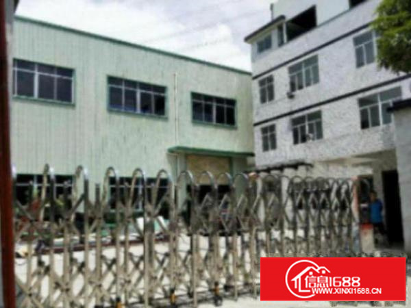 高埗;独院厂房面积1800平米;采光好进车方便;周边配套齐全