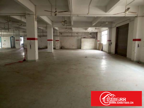 仲恺陈江独院厂房2600平方，可以分租、出入方便