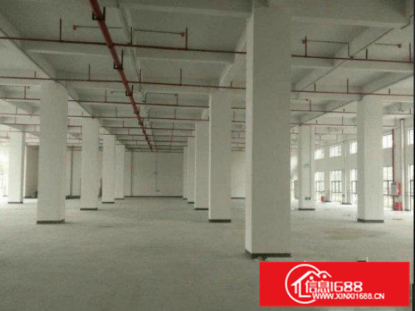 出租龙岗区平湖一楼500平方米标准厂房