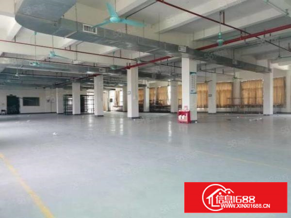 上市公司，独门独院12500招租，全新厂房