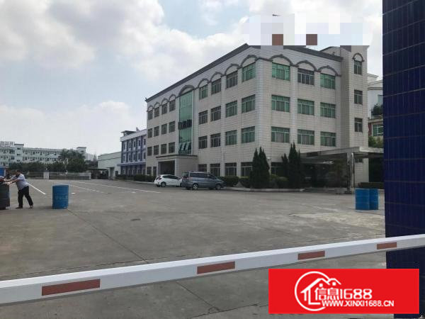 全新厂房6808801200常平厂房招租