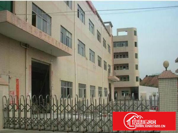 龙岗中心城新出整层精装修2000平方