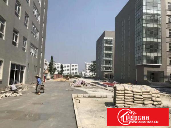 龙岗高新产业园75000平米独院红本厂房，大小分租